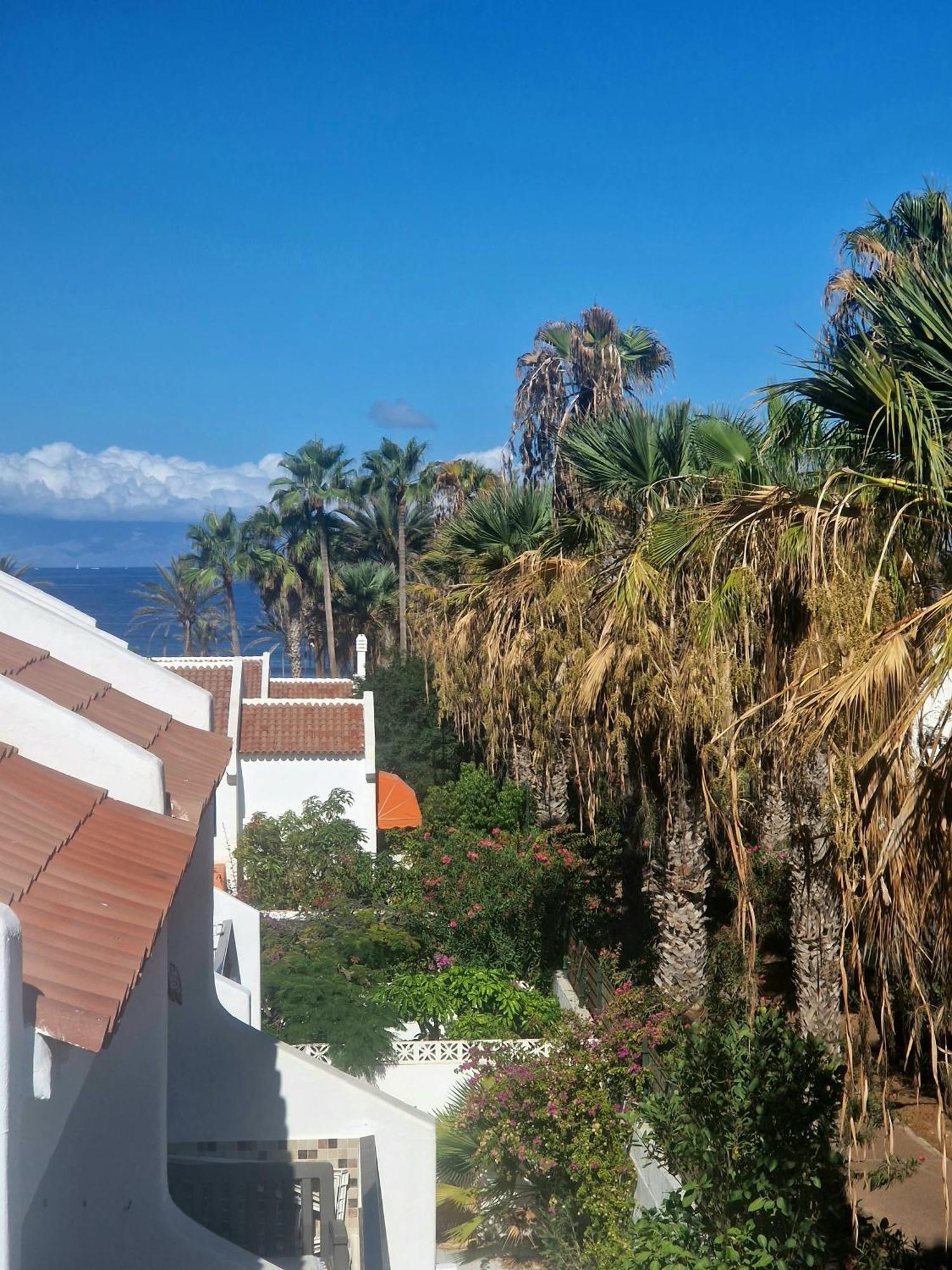 Parque Santiago 1 F-312 By Tenerife Dream Properties Playa de las Americas  Bagian luar foto
